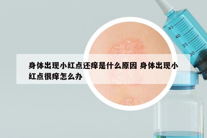 身体出现小红点还痒是什么原因 身体出现小红点很痒怎么办