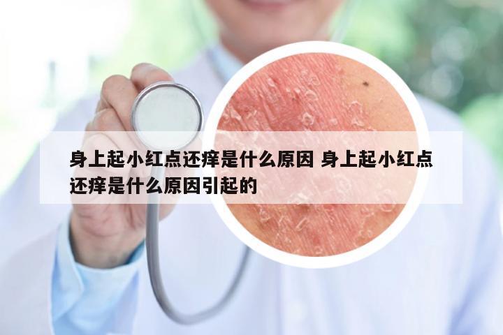 身上起小红点还痒是什么原因 身上起小红点还痒是什么原因引起的